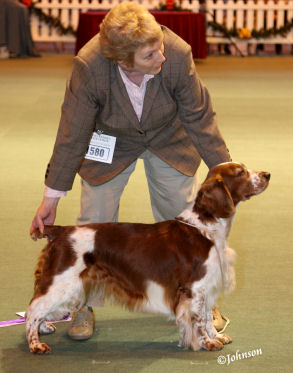 LKA 2009 Veteran Stakes.jpg - 49759 Bytes